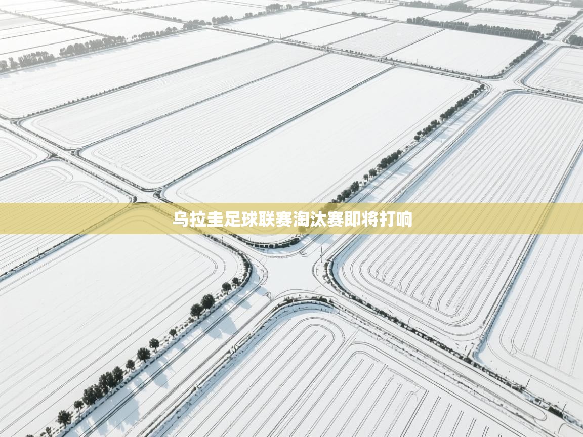 乌拉圭足球联赛淘汰赛即将打响